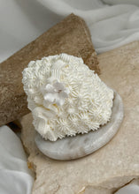 Load image into Gallery viewer, The MINI Series - Murial