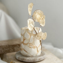 Load image into Gallery viewer, Close-up of Spello Mini Cake from Spodeli Mini Series showing warm-toned, organic cake texture
