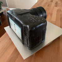 Rear angled view of a camera cake showing screen, controls and sculpted form